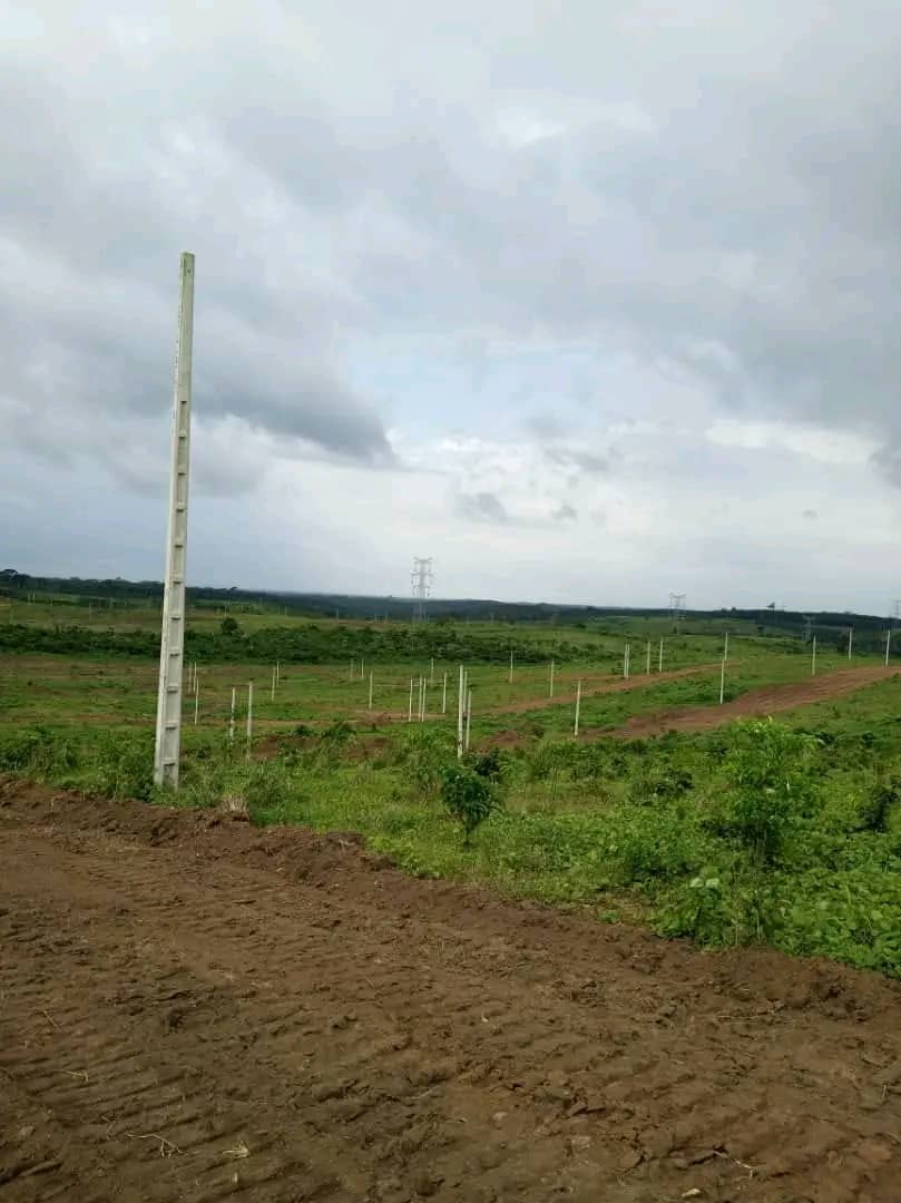 Terrain et aménagement